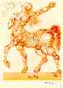 The Centaur
